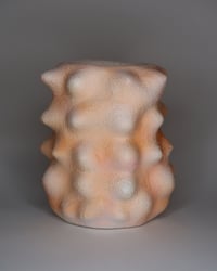 Image 1 of SPORE POD VASE