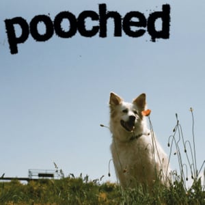 Image of Pooched - Pooched / Tercel LP (colour)