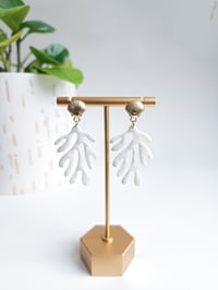 White Marble Coral