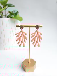 Pink Coral