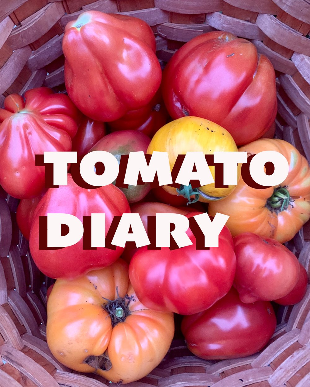 Tomato Diary Pre-Order