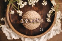 Image 3 of Summer halos