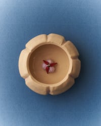 Image 2 of Garlic Box 