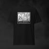 PSLM-TS-01