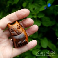Image 1 of Saxon Owl Amulet (DAM668)