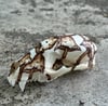Fungi Skull
