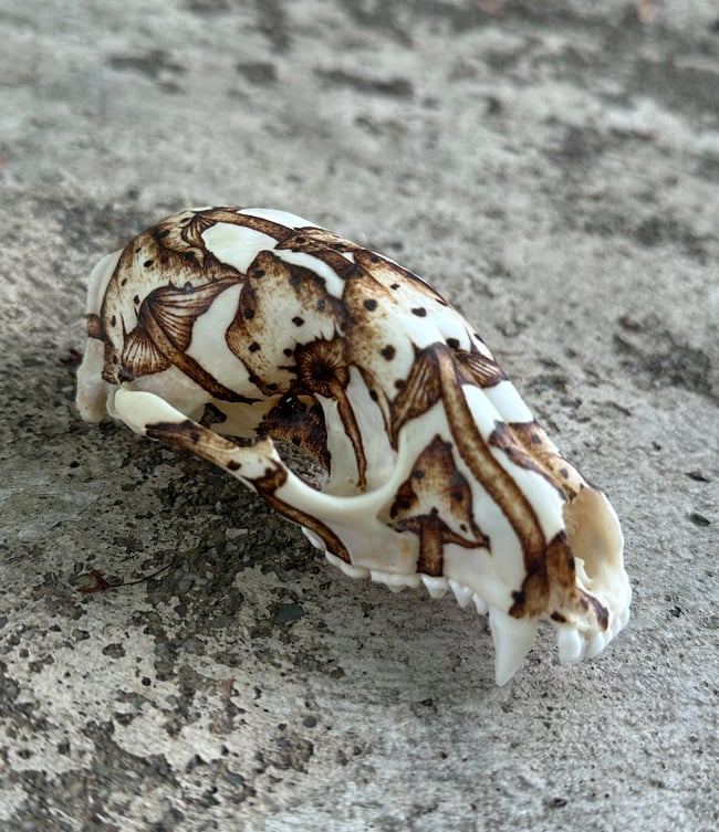 Fungi Skull