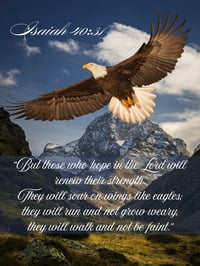 Isaiah 40:31 Wall Poster