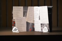 Image 5 of STAGES OF SELF-DESTRUCTION - CD