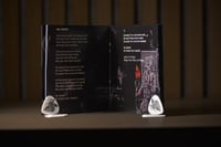 Image 5 of BORN IN TECHNOLOGY - CD (2nd EDITION)