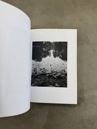 Image 3 of Natur - Michael Schmidt