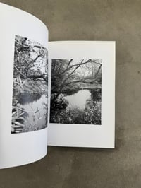 Image 4 of Natur - Michael Schmidt