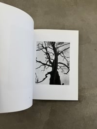 Image 5 of Natur - Michael Schmidt