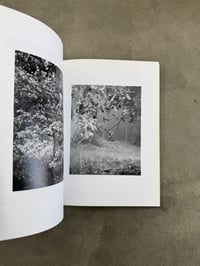 Image 6 of Natur - Michael Schmidt