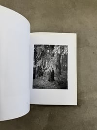 Image 7 of Natur - Michael Schmidt
