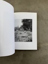 Image 8 of Natur - Michael Schmidt