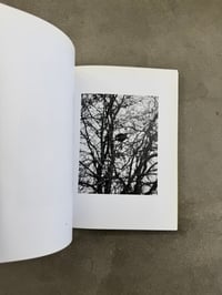 Image 10 of Natur - Michael Schmidt