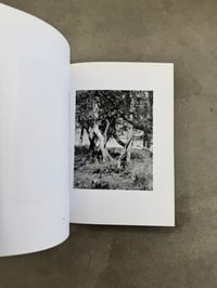 Image 12 of Natur - Michael Schmidt
