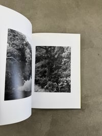 Image 11 of Natur - Michael Schmidt