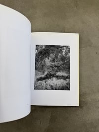 Image 13 of Natur - Michael Schmidt