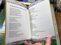 Image 4 of New! Trying Not to be a Nature Poet, by W. Joe Hoppe