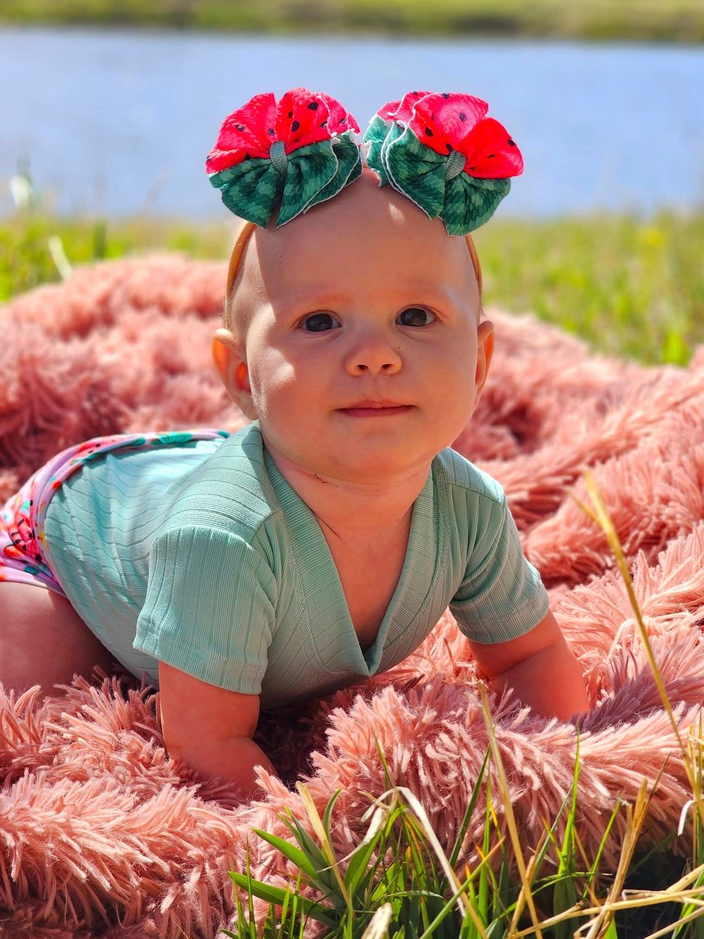 Image of Watermelon