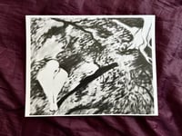 "Drawings of Light (1)" Limited Print