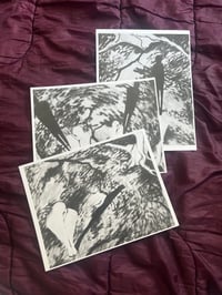 "Drawings of Light" Limited Print Bundle