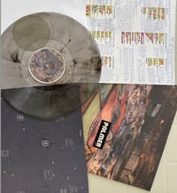 Vinil Conxorxa