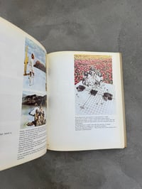 Image 11 of Italy The New Domestic Landscape -MoMA