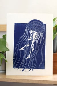 jellyfish