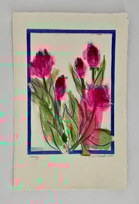 Hot Pink Tulips