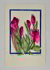 Hot Pink and Red Tulips