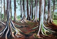Image 1 of 𝘔𝘰𝘳𝘦𝘵𝘰𝘯 𝘉𝘢𝘺 𝘍𝘪𝘨𝘴 - Study