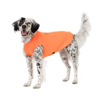 Image 1 of Goldpaw Sun Shield Tee Neon Orange