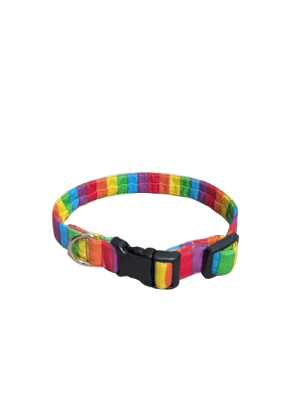 Image of Say Gay Collection (5 Options)