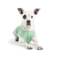 Image 1 of Goldpaw Sun Shield Tee Pistachio