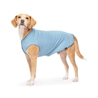 Image 1 of Goldpaw Sun Shield Tee Ocean Blue