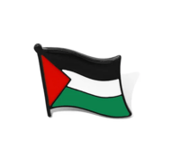 Image 3 of Rozana Pins 