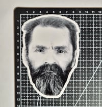 Image 2 of Charles Manson Mugshot Die Cut Glossy Finish Vinyl Sticker