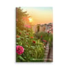 Sunrise Cottage Garden - 8” X 12” Canvas Print 