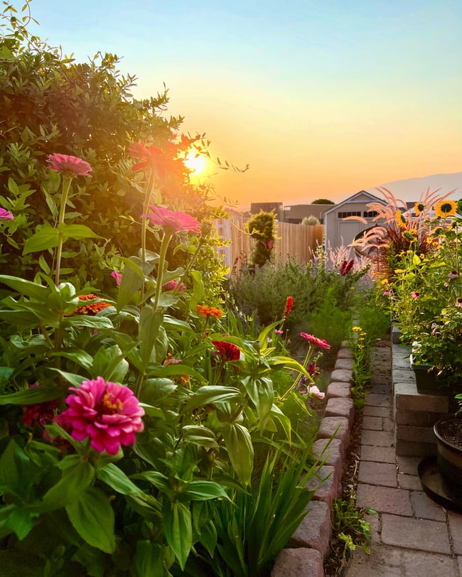 Sunrise Cottage Garden - 12” X 18” Canvas Print  