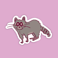 Raccoon Sticker