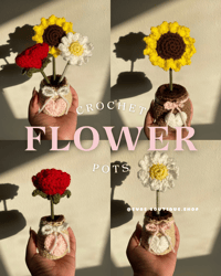 Image 1 of Crochet Flower Pots