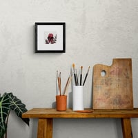 Image 2 of Sturt's Desert Pea