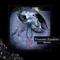 Image 1 of ☽ Fraxinus Boreal ☾