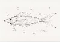 FISH 6