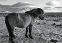 Image 8 of DIGITAL Edition of Vetur: Poems & Photographs by Katie Metcalfe