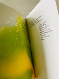 Image 3 of Sunset Cocktails by Guillaume Aubry & Sterling Hudson