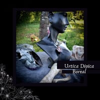 Image 1 of ☽ Urtica Boreal ☾